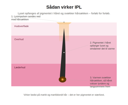 Aveline Lumi – IPL Hair Remover for Body and Face
